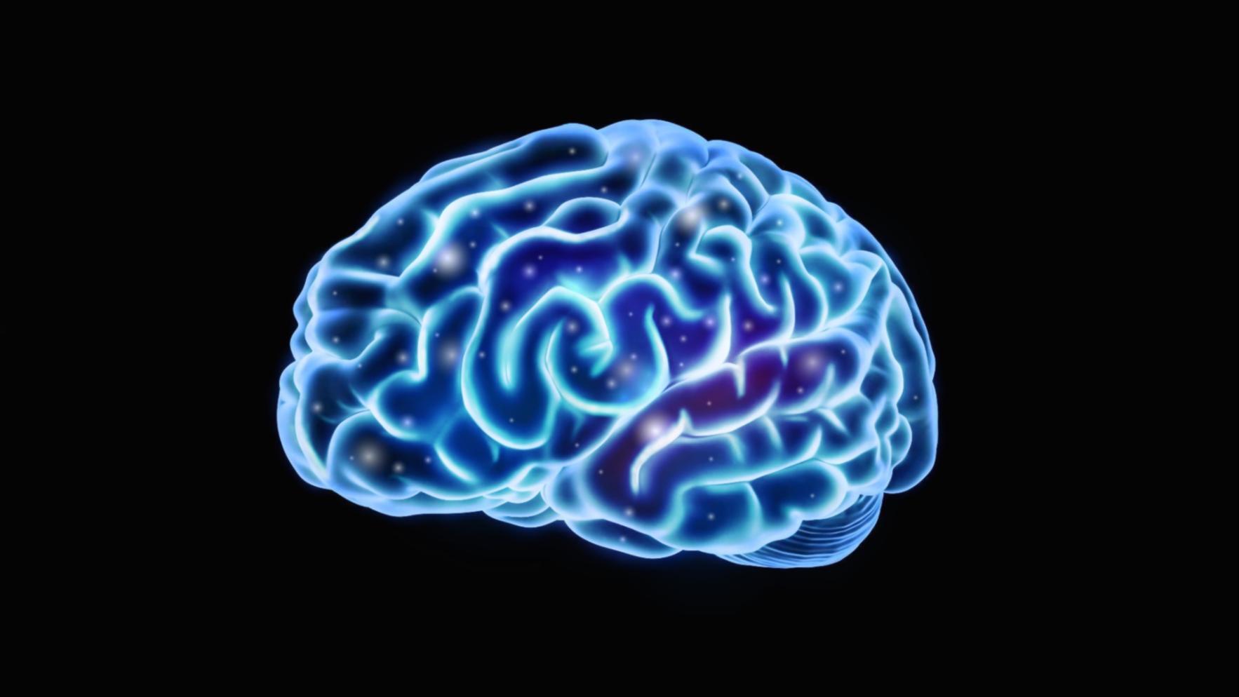 Gruppenarbeit und Finanzplanung bei Sydifoa